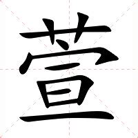 萱筆劃|萱的意思，萱字的意思